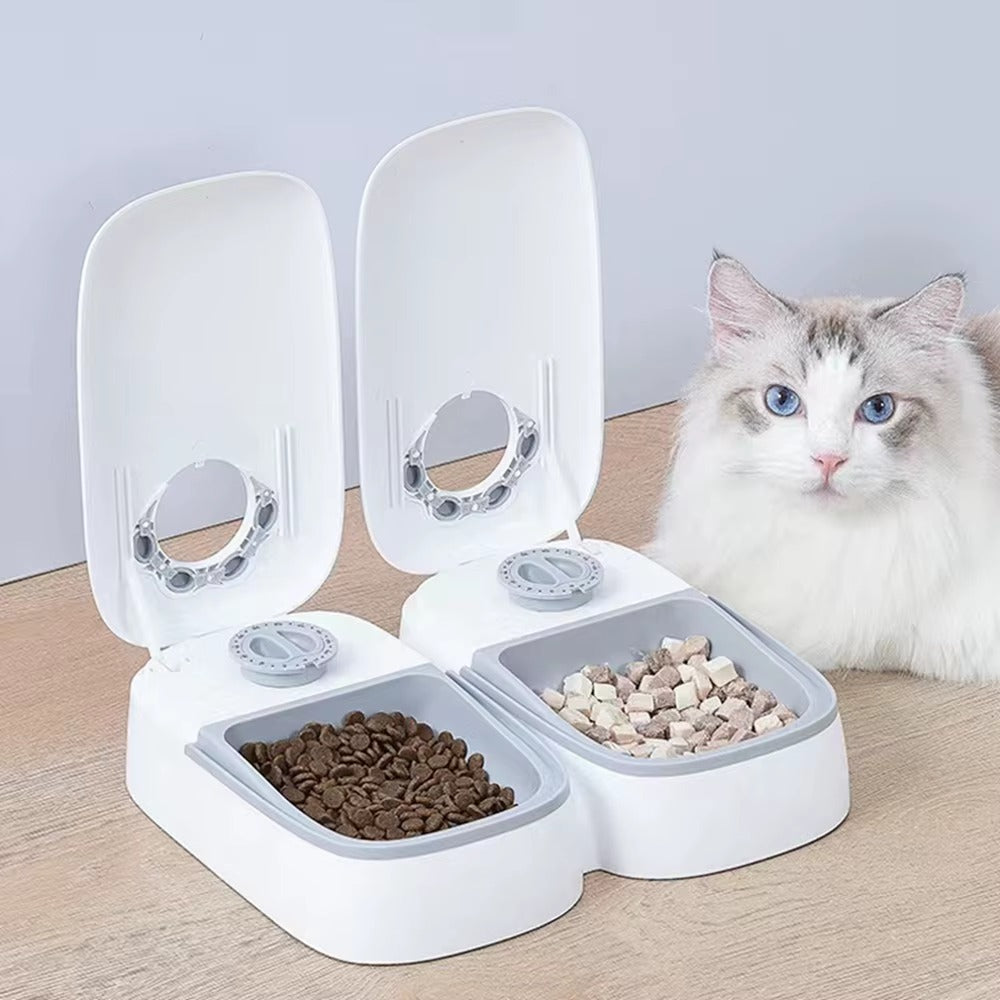Comedero para Mascotas con Temporizador – La Solución Ideal para tu Mascota cuando no Estás en Casa