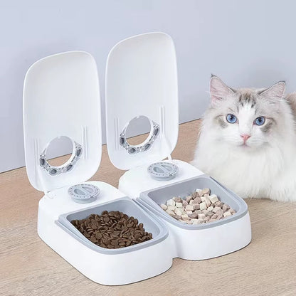 Comedero para Mascotas con Temporizador – La Solución Ideal para tu Mascota cuando no Estás en Casa